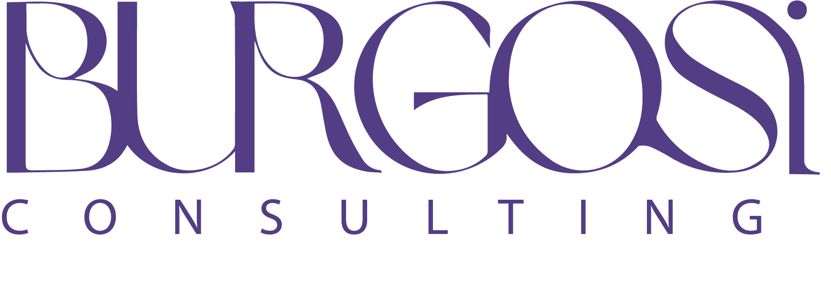 BURGOSI CONSULTING